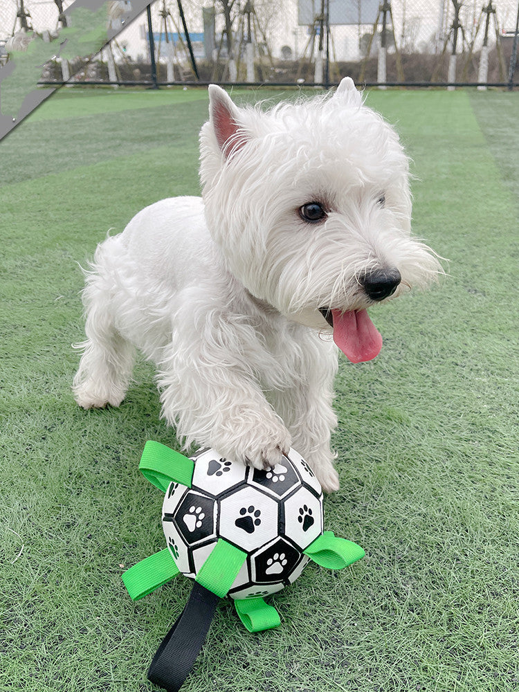 weight 120-547g Dog Toy Lovely Paw Football Toys For Puppy Large Dogs