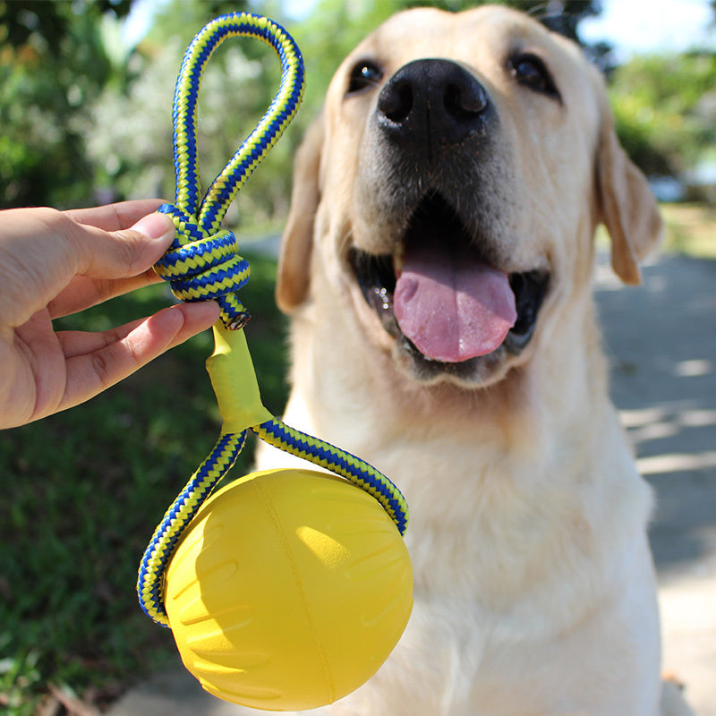 weight 200g Pet toy bite resistant puppy molar interaction ring