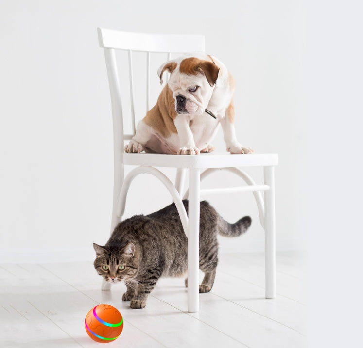 Pet New Cat Wicked Ball Toy Intelligent Ball USB Cat Toys Self Rotating Ball Automatic Rotation Ball 250g