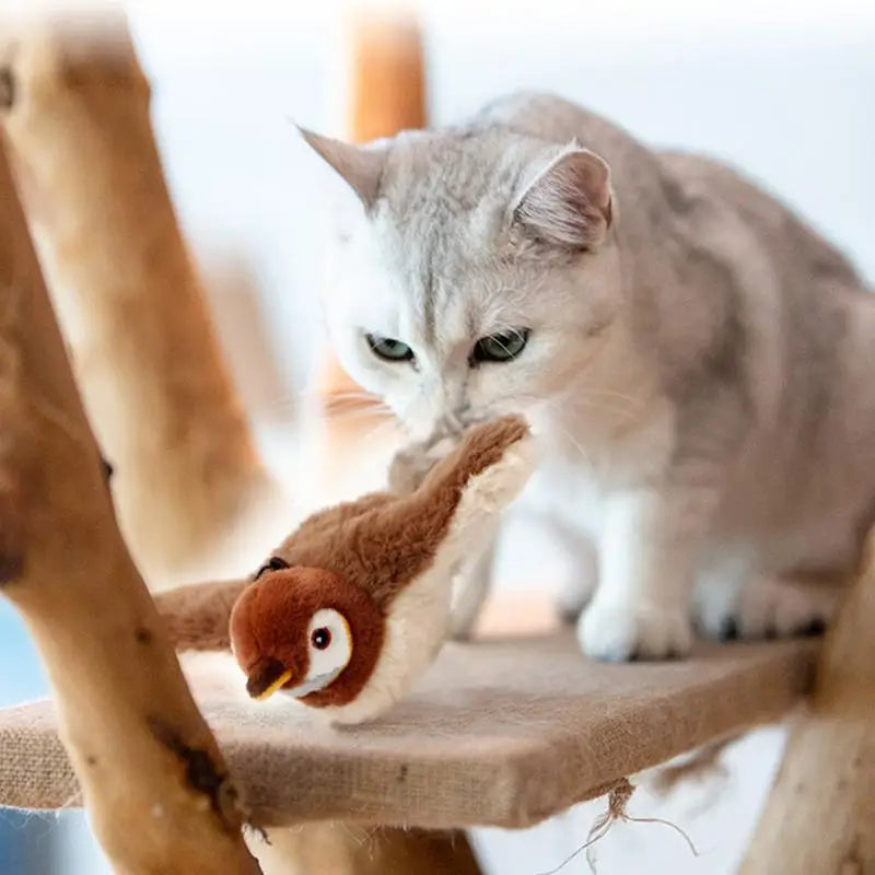 Giocattolo per gatti con uccello volante, ricaricabile, automatico, che batte le ali, passero, erba gatta, giocattolo interattivo per gatti e animali domestici