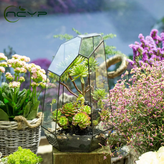 NCYP Vaso da fiori in vetro irregolare per piante grasse Terrario geometrico in vetro Vaso da fiori fai da te Muschio Felce Bonsai in miniatura Decorazioni per la casa