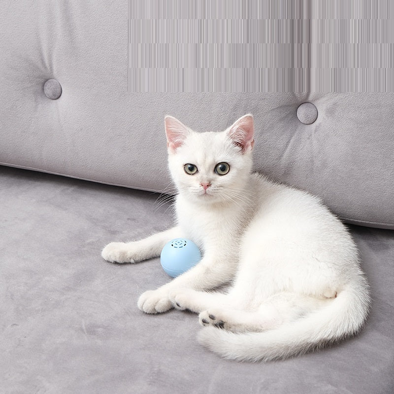 New Self-Hi Pussy Cat Music Ball Sounds And Bites Toys 45g