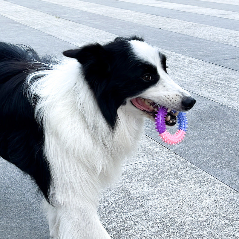 price 1.16 usd weight 48g TPR Pet Toy Three-color Piercing Ring Dog Molar