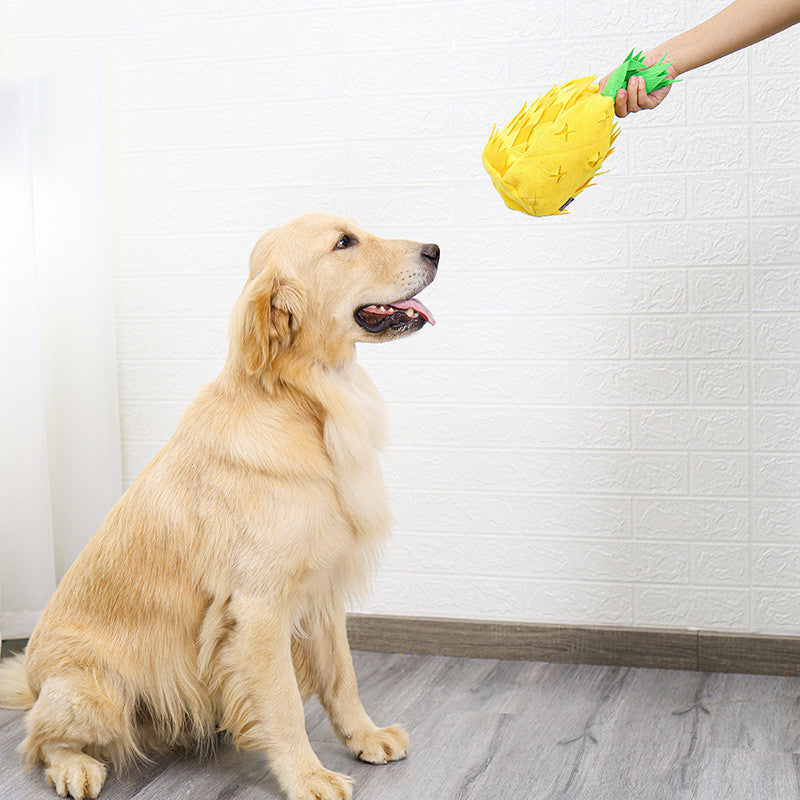 price 4.19usd weight 125g Household Pineapple Sniffing Pet Toy