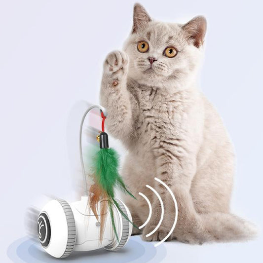 Interactive Cat Toy With Interchangeable Heads  Pet Feather Toys 300g